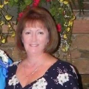 Meet your Posher, Judi